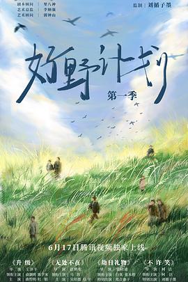 无手的少女 封面图